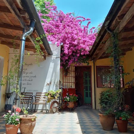 Alma De Proa Bed & Breakfast Сан-Антонио-де-Ареко Экстерьер фото