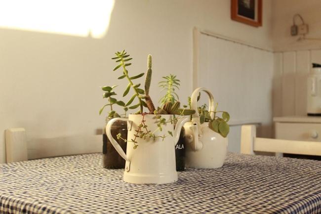 Alma De Proa Bed & Breakfast Сан-Антонио-де-Ареко Экстерьер фото